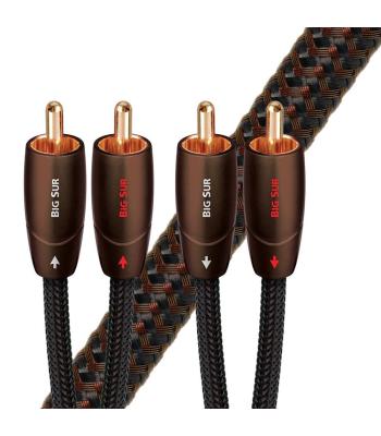 AudioQuest Big Sur 2 To 2 Male RCA Cable